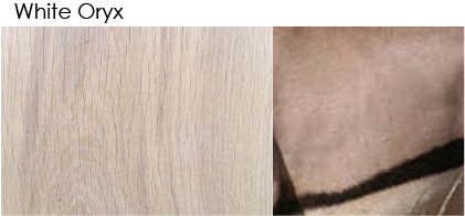 Whittle Waxes Evolution Colour Stain White Oryx product detail with colourfast natural pigments in Australian woodworking tools store