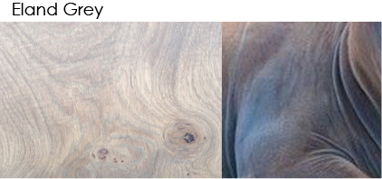 Whittle Waxes Evolution Colour Stain Eland Grey application on timber surface