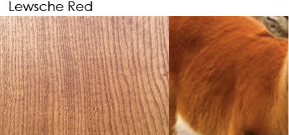 Whittle Waxes Evolution Colour Stain Lechwe Brown applied on timber surface, showcasing rich natural hue