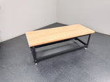 Torquata Workbench System 1500 x 600 x 450 H Dog Hole Top Assembly & Machine Stand